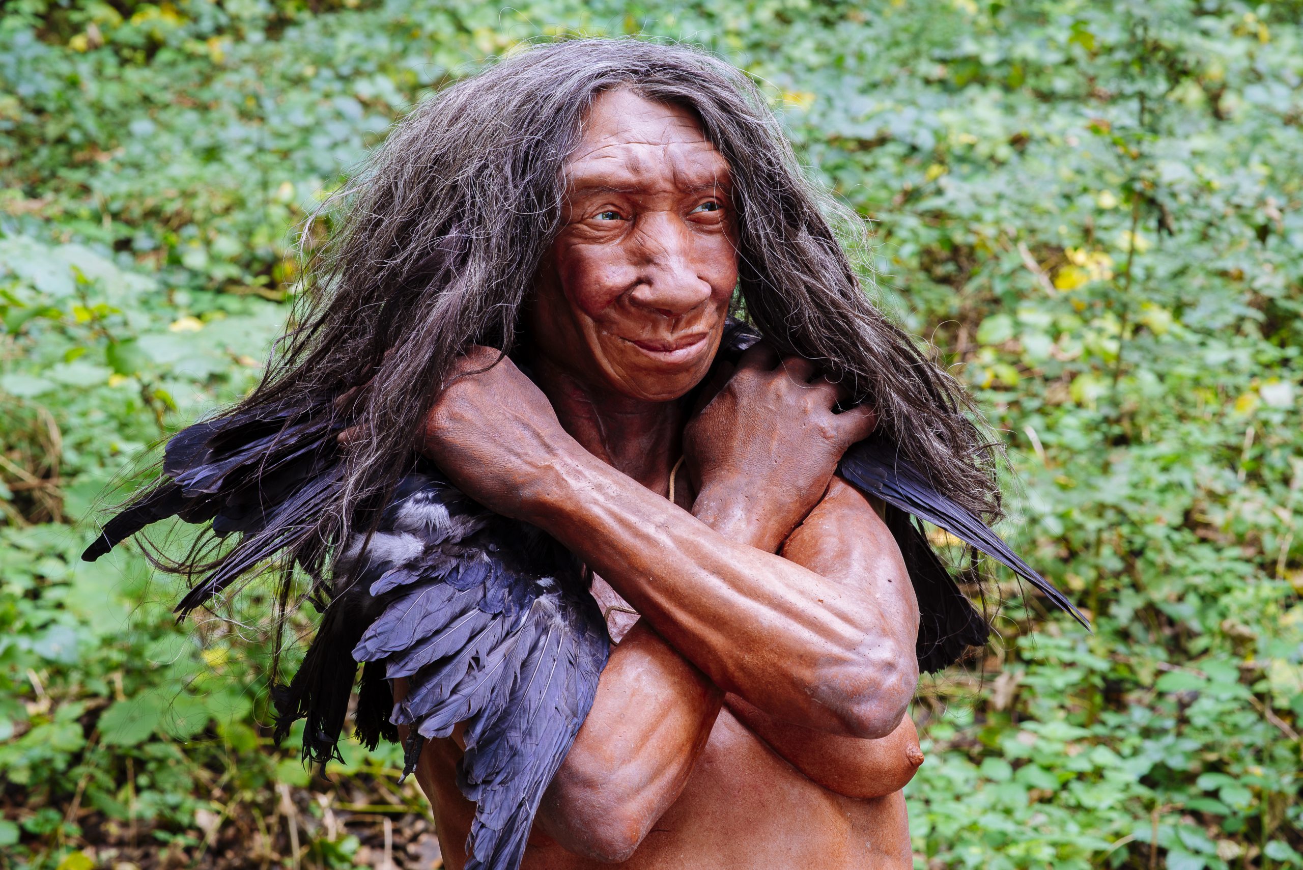 Homo sapiens neanderthalensis (Ausschnitt)_Fundort Gibraltar