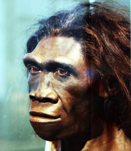 a Neanderthal ancestor?