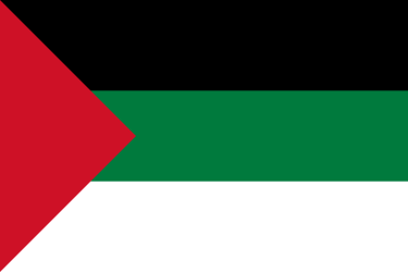 The WWI Arab nationalist flag, basis for campus protest Palestinian flags